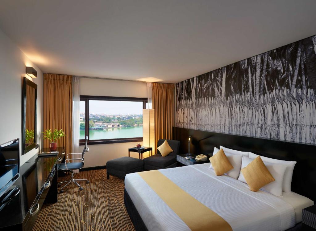 Cilantro Suite