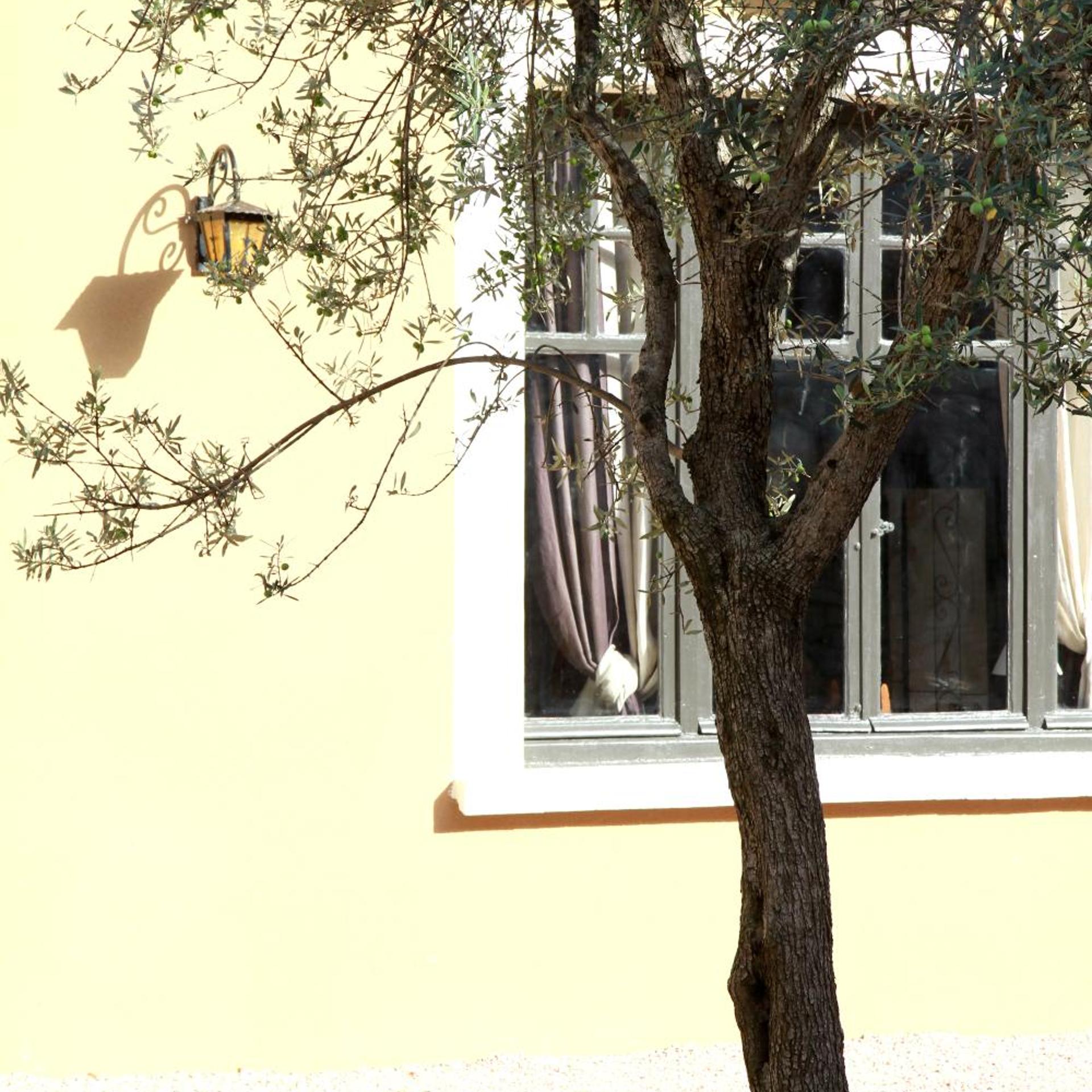 HOTEL LE CLOS DES OLIVIERS 33/37