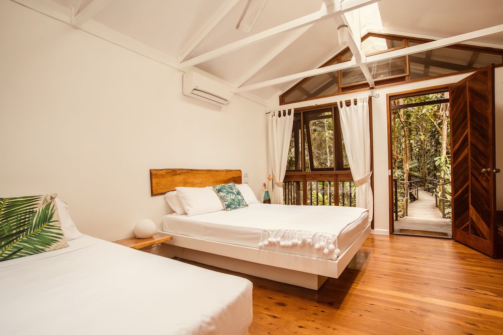 Daintree Wilderness Lodge 5/34