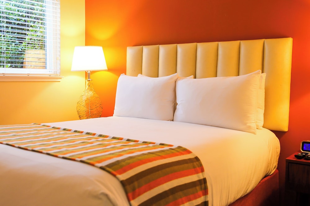 Hotel Del Sol A Joie de Vivre Boutique Hotel 25/50
