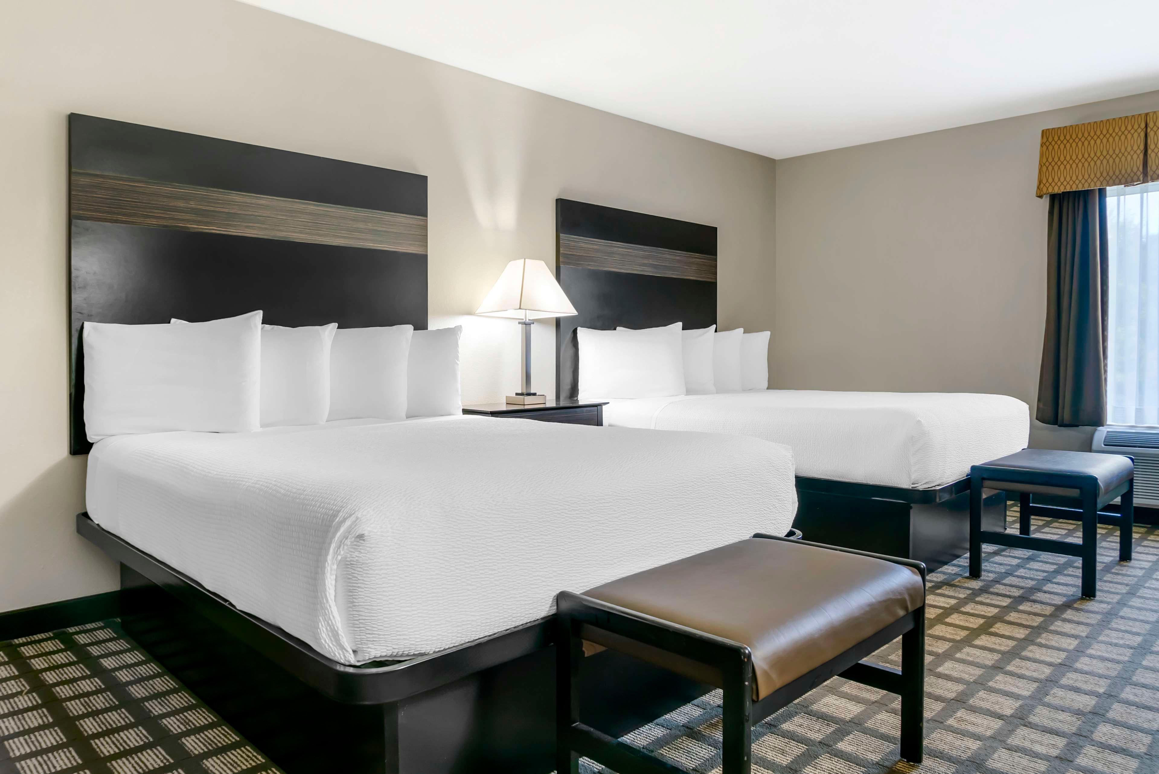 Room, Queen Bed
