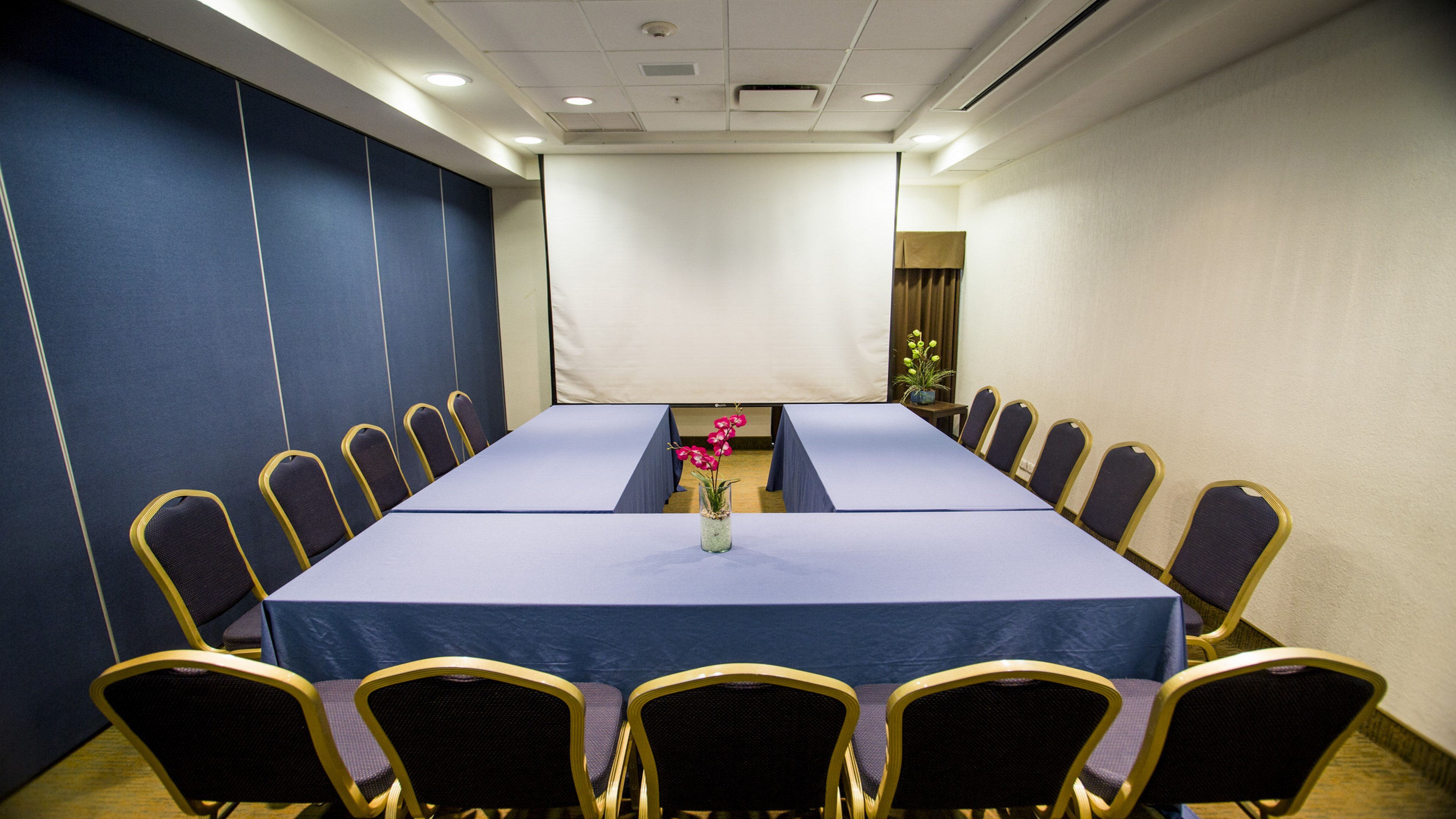 Holiday Inn Express Tuxtla Gutierrez La Marimba 25/25