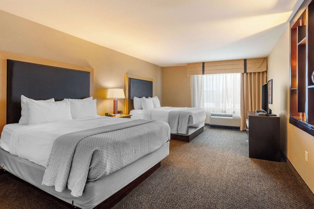 Suite, Multiple Beds