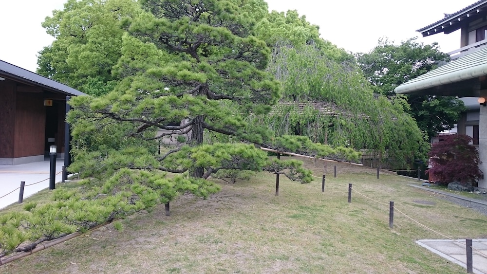 Kyounoyado Senkakubettei 54/59