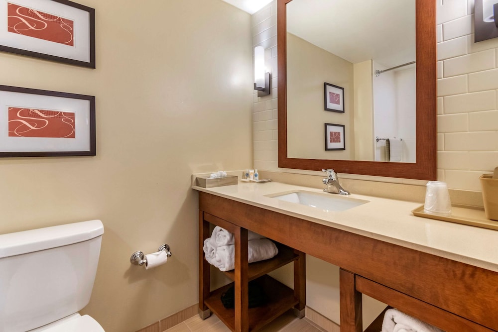 Comfort Suites Manheim - Lancaster 38/55