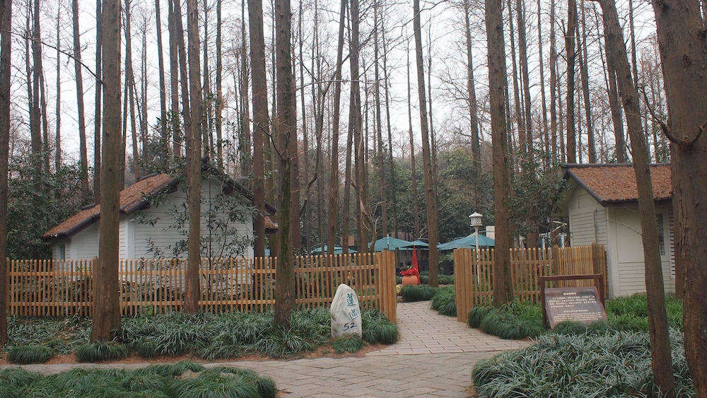 Lotus Glade Hotel 38/50