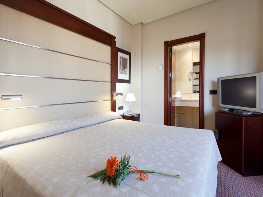 Hotel Badajoz Center 19/71