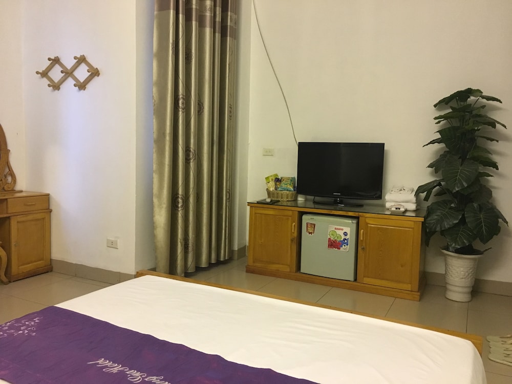 Hotel Hoang Gia 33/50