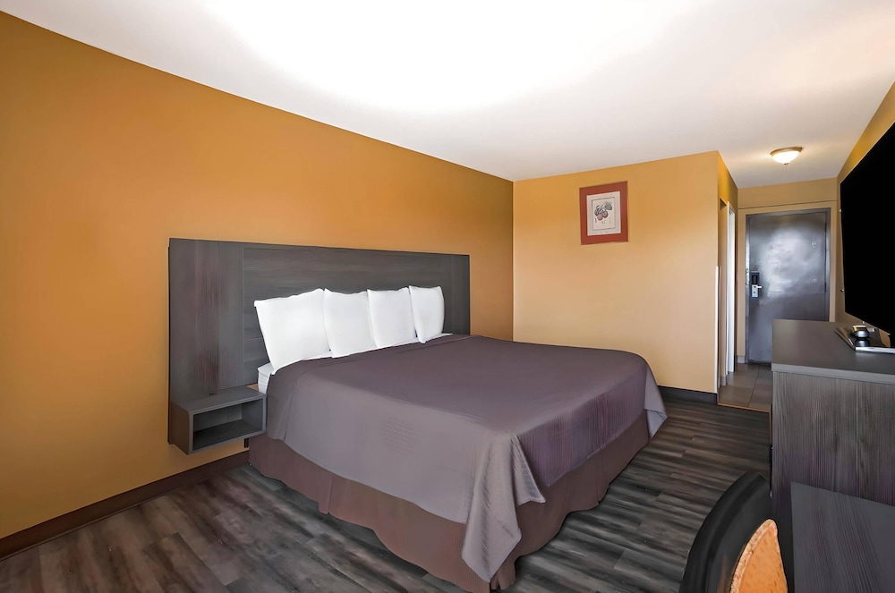 Room, King Bed