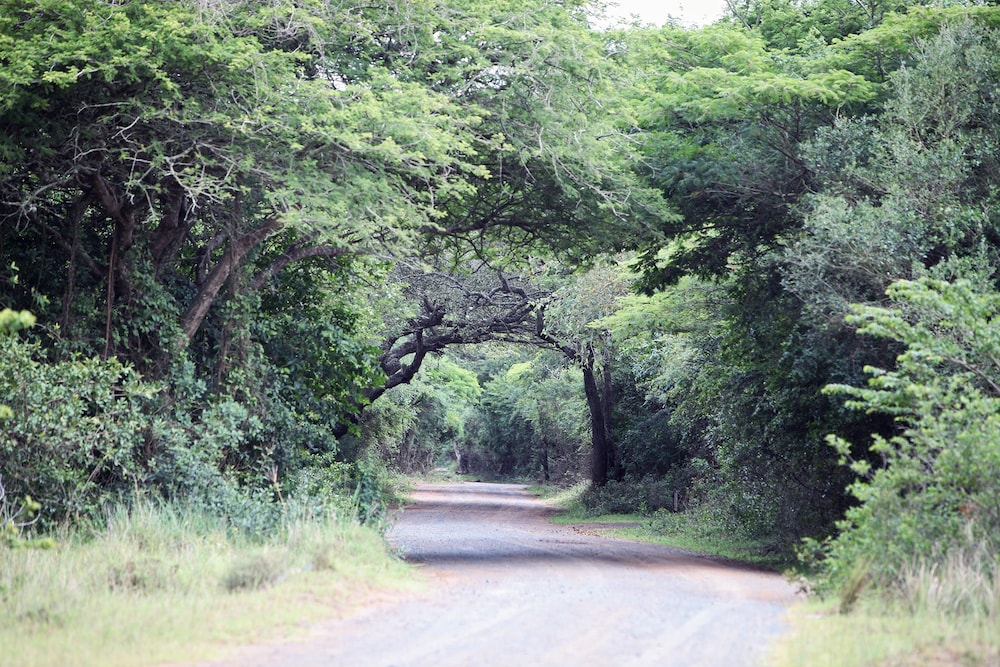 Emdoneni Lodge with Animal Care and Rehab Centre 62/66