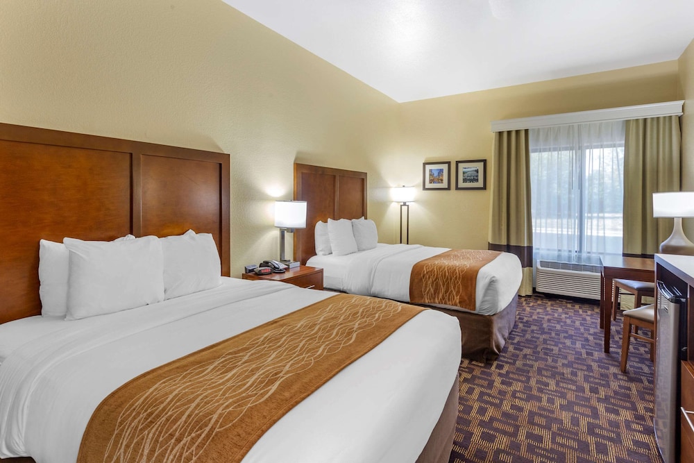 Comfort Inn and Suites North Aurora Naperville 13/50
