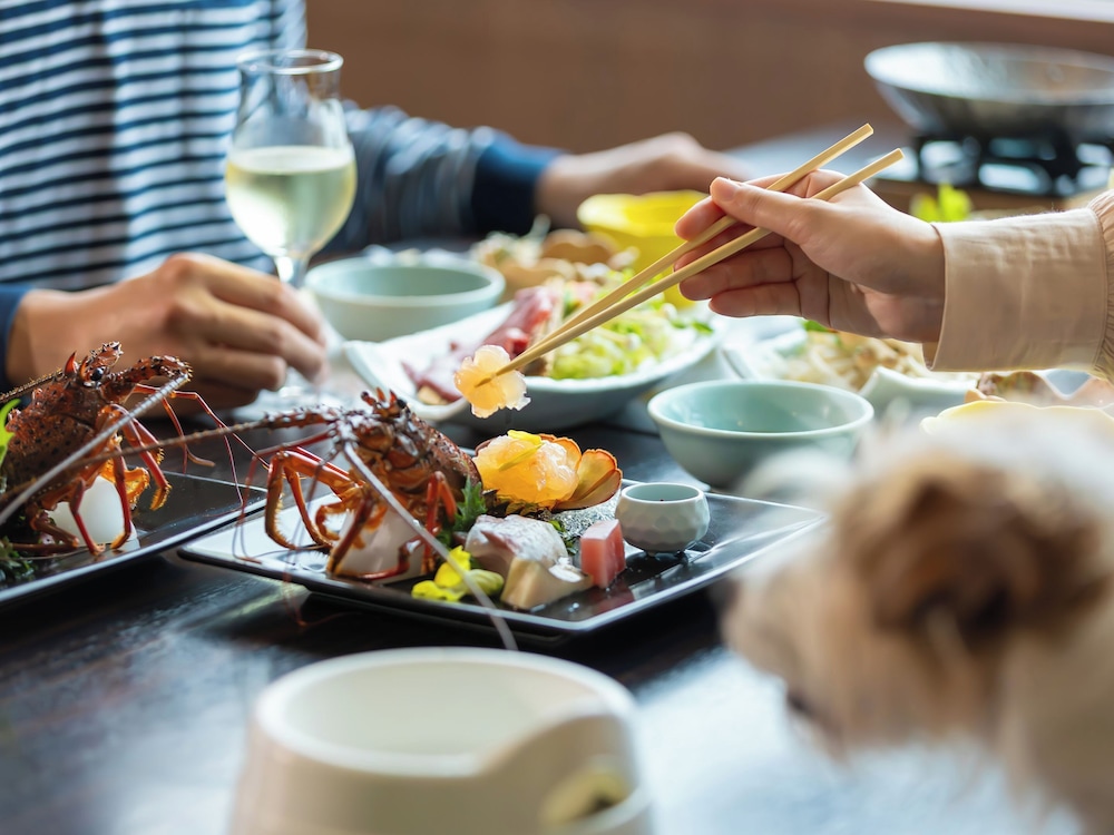 Izumigo Toba Dog Paradise Hotel 46/58