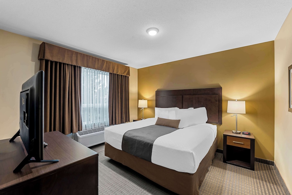 Suite, King Bed