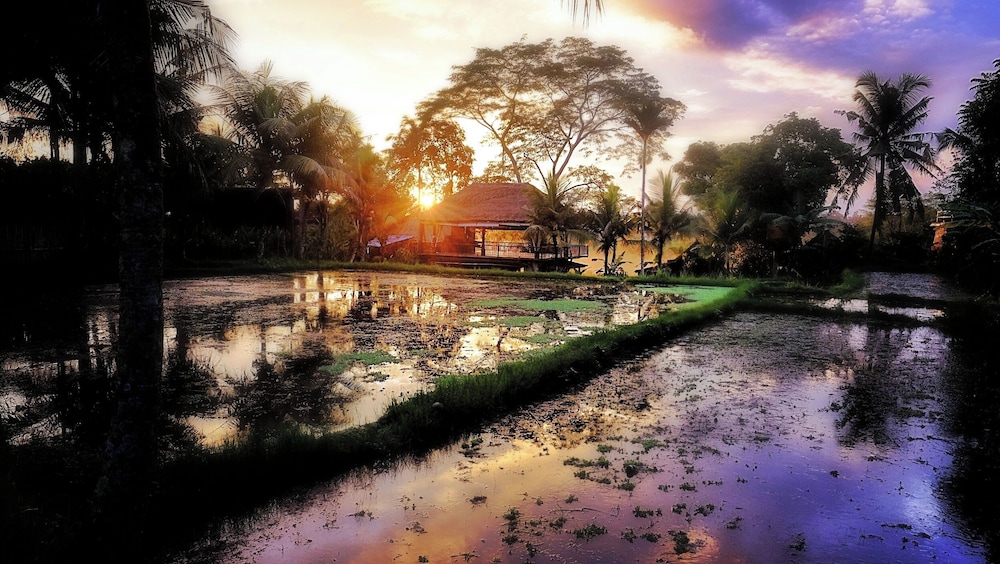 Prashanti Ubud 36/50