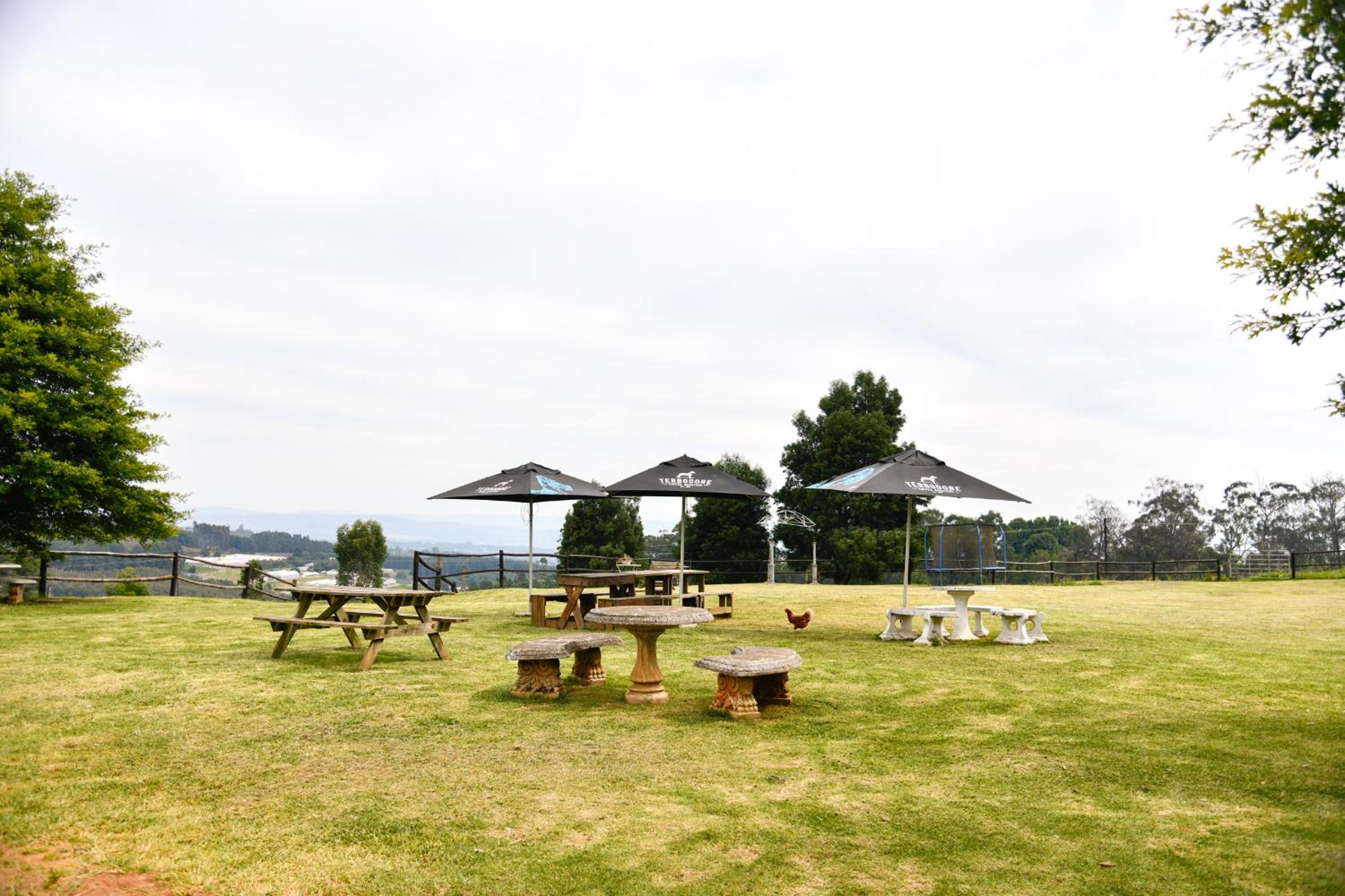 The Knoll Guest Farm 10/14