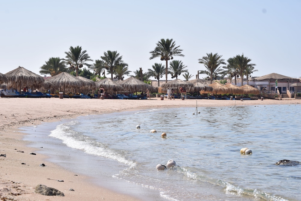 Sharm El Naga Resort and Diving Center 21/37