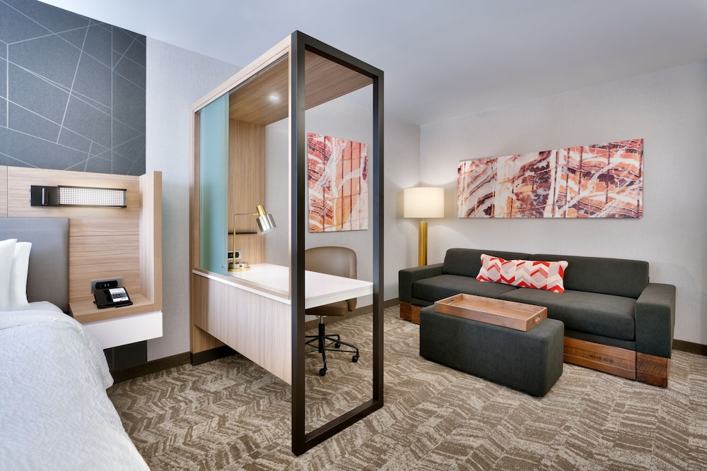Springhill Suites By Marriott Grand Island 22/46
