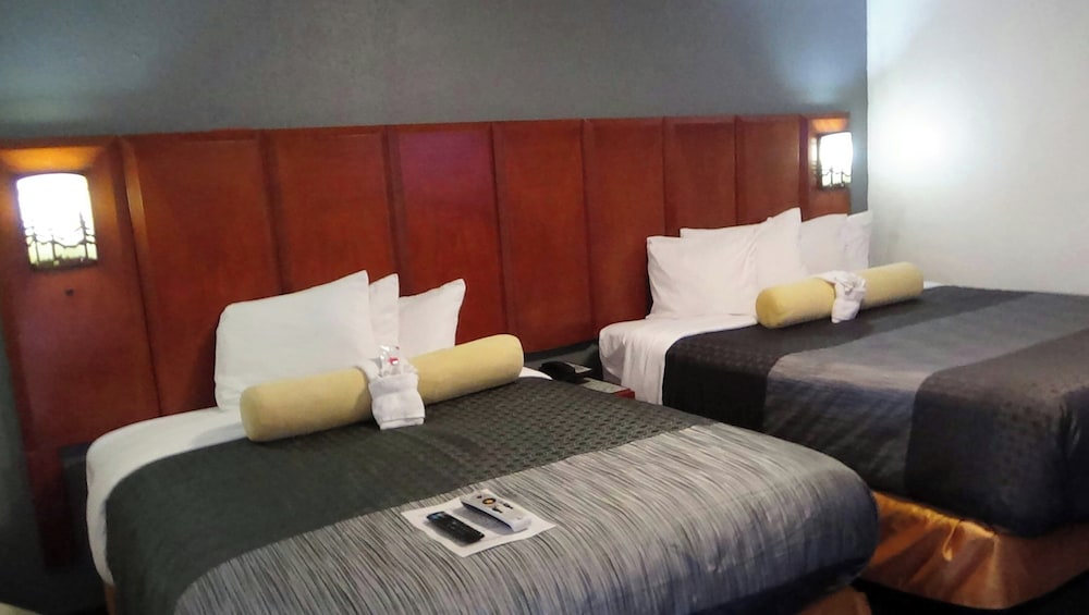 M Star Cedar City 31/50