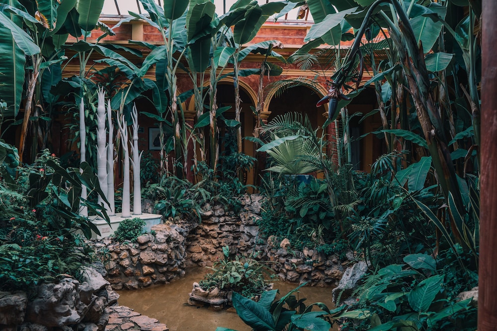 Casa Mexicana 56/59