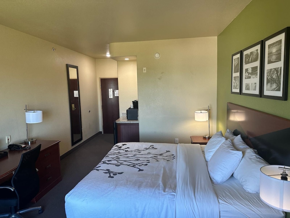 ROOM, KING BED, ACCESSIBLE