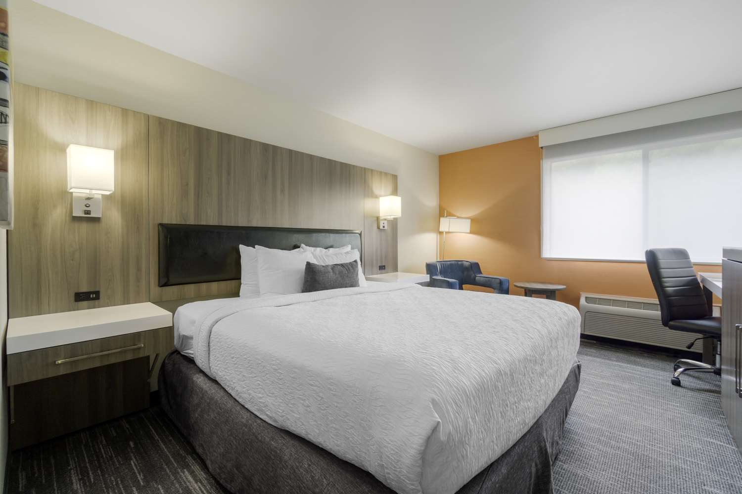 Room, King Bed