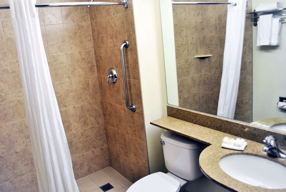 Microtel Inn and Suites by Wyndham Toluca 19/41