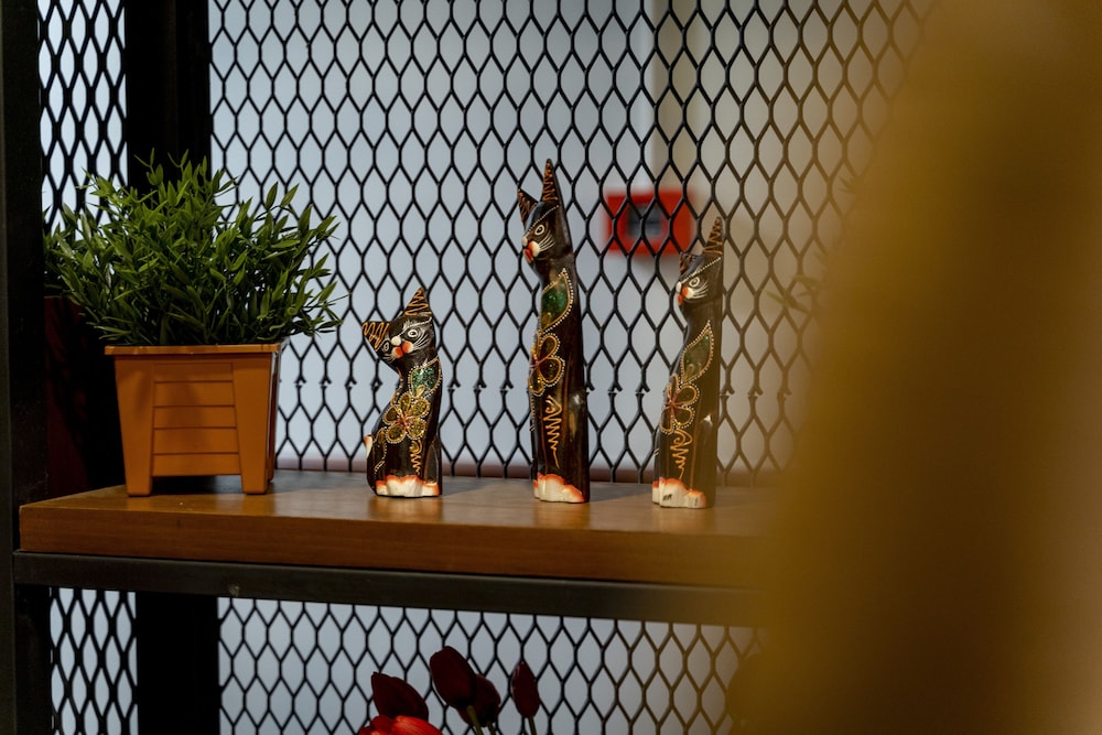East Riverine Boutique Hotel 11/45