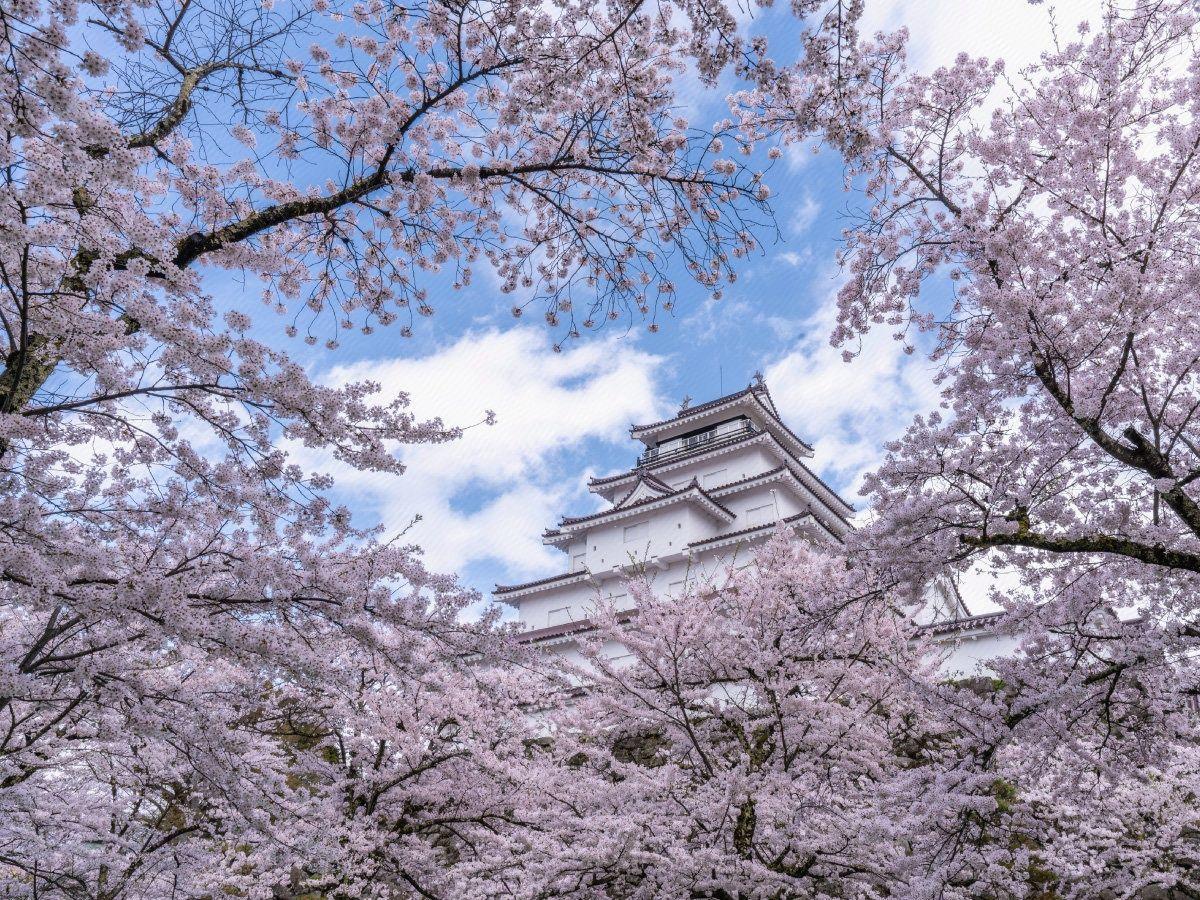 Inawashiro Kanko Hotel 33/35