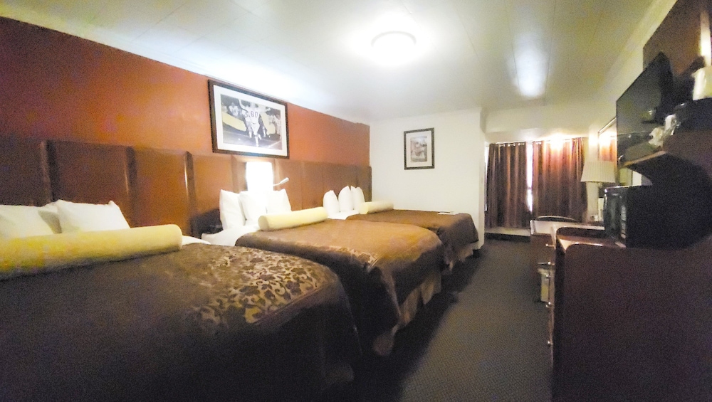 M Star Cedar City 21/50