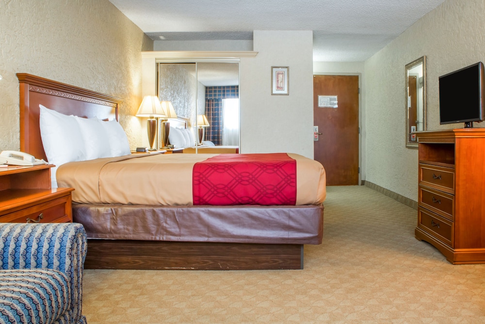 Standard, King Bed