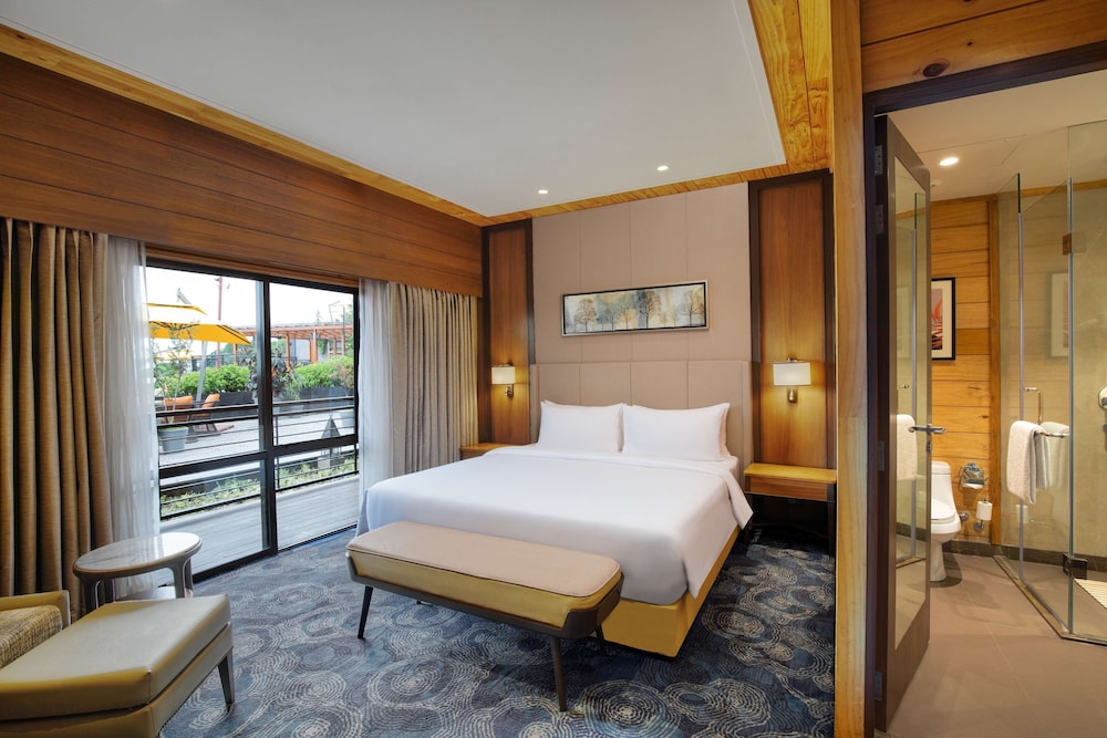 Radisson Blu Resort Dharamshala 22/79