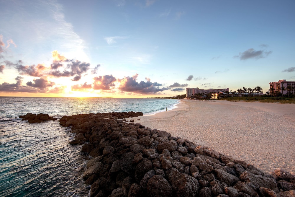 The Reef Atlantis, Autograph Collection 16/29