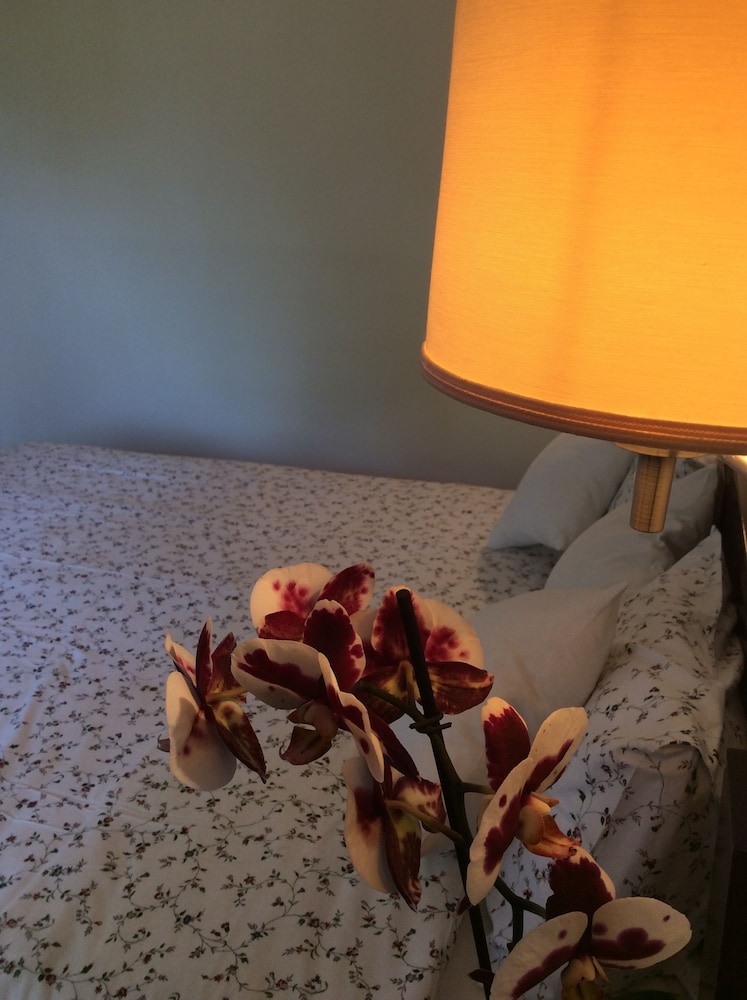 Morfeas Hotel 40/50