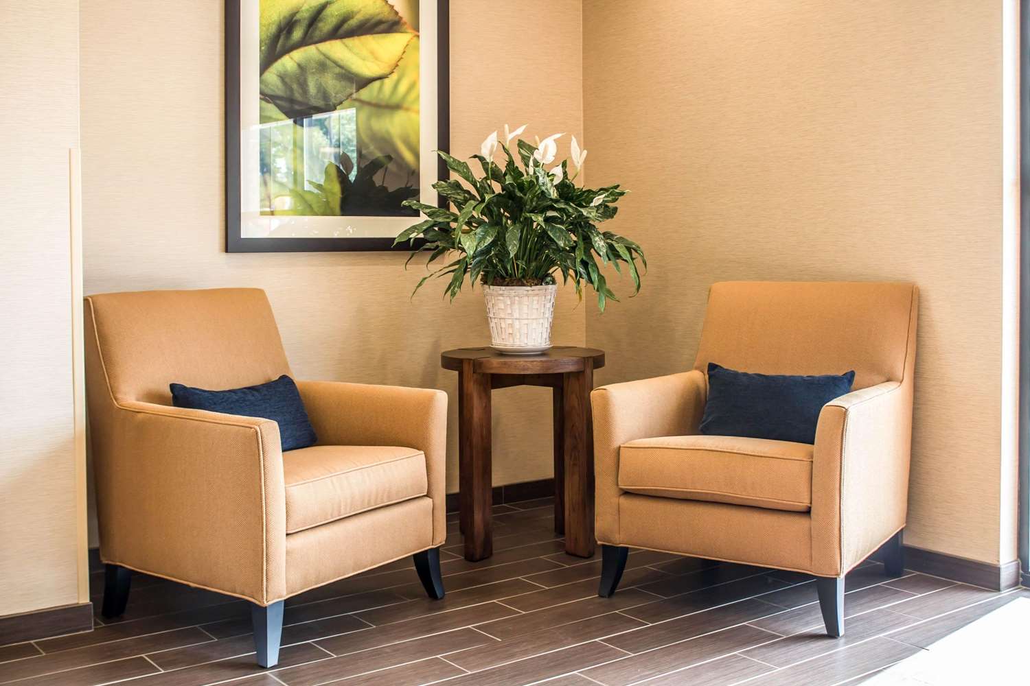 Comfort Suites Hartville-North Canton 24/43