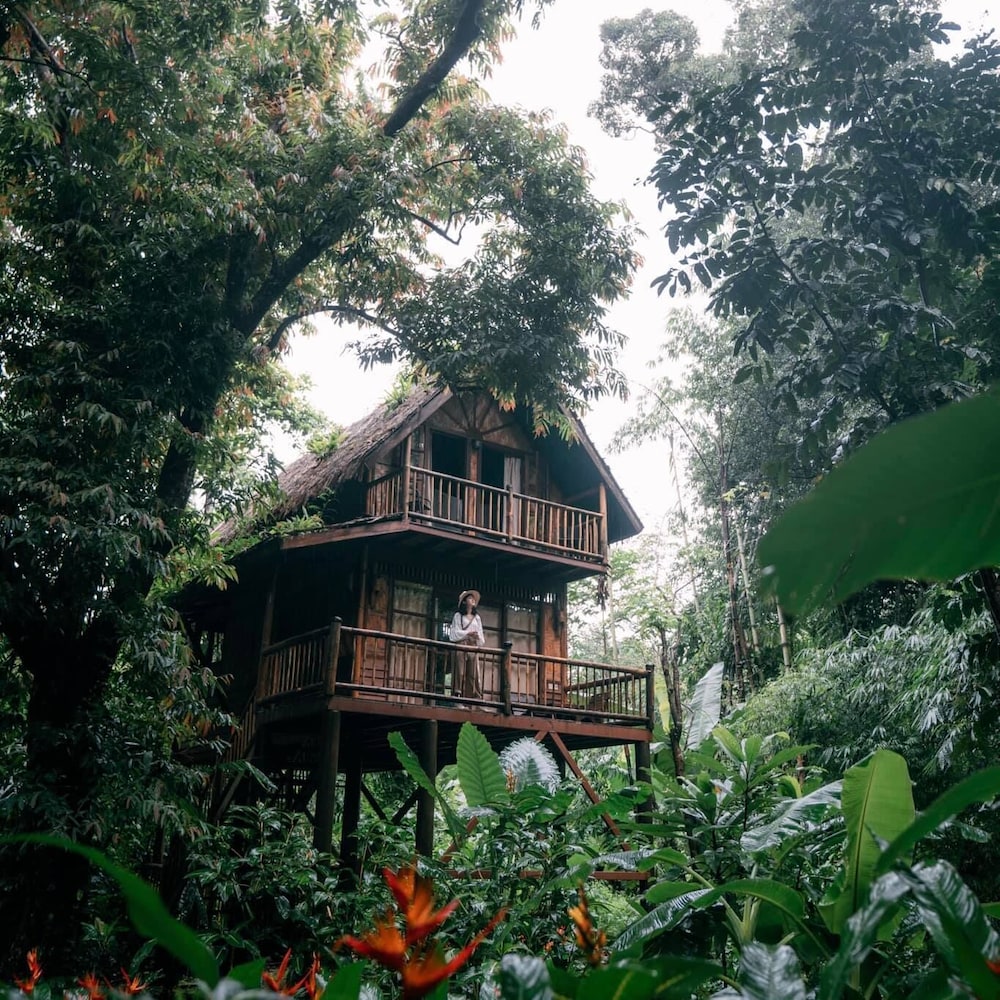 Our Jungle Camp - Eco Resort 3/75