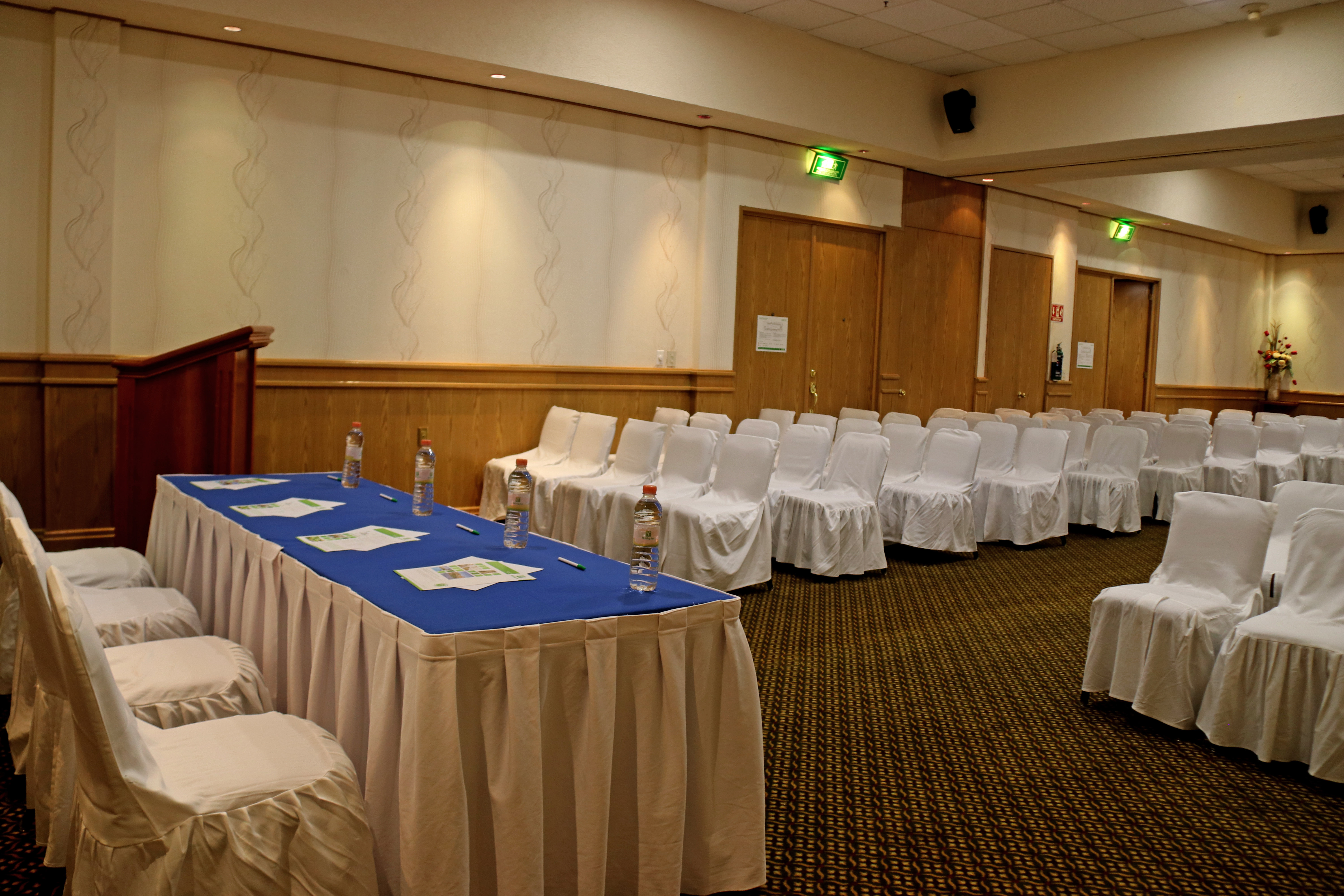 Holiday Inn La Piedad 18/55