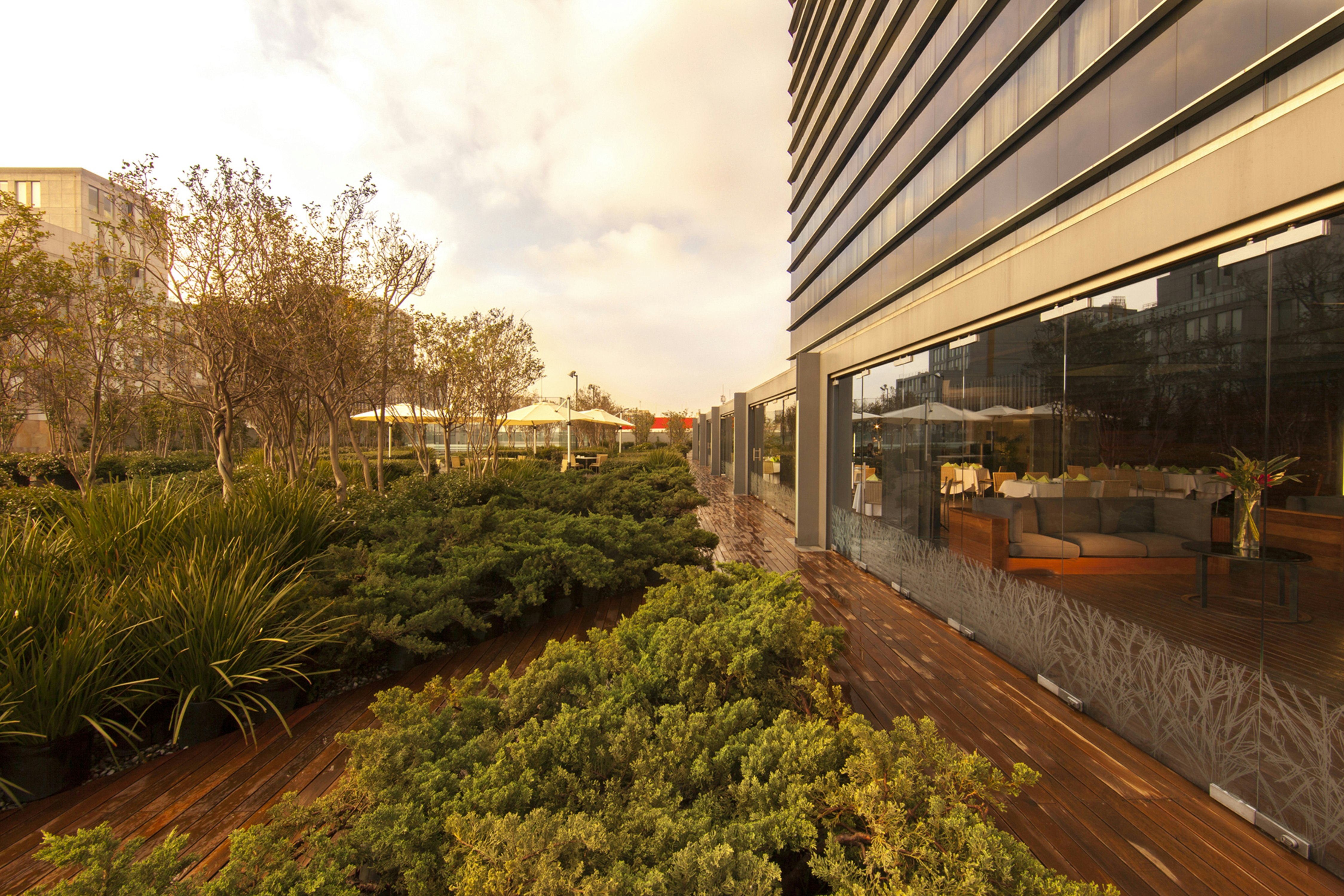 Hilton Mexico City Reforma 50/50