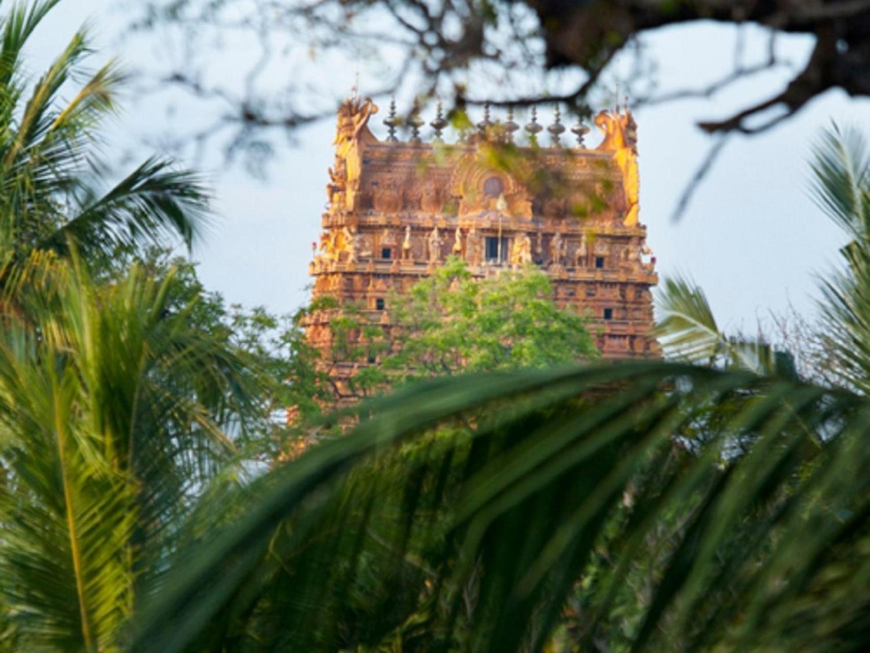 Jaffna Heritage Villa 17/18