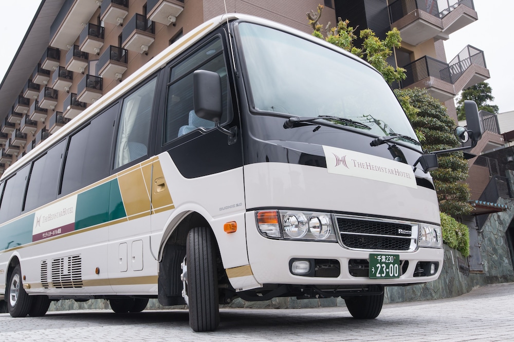 The Hedistar Hotel Narita 5/61