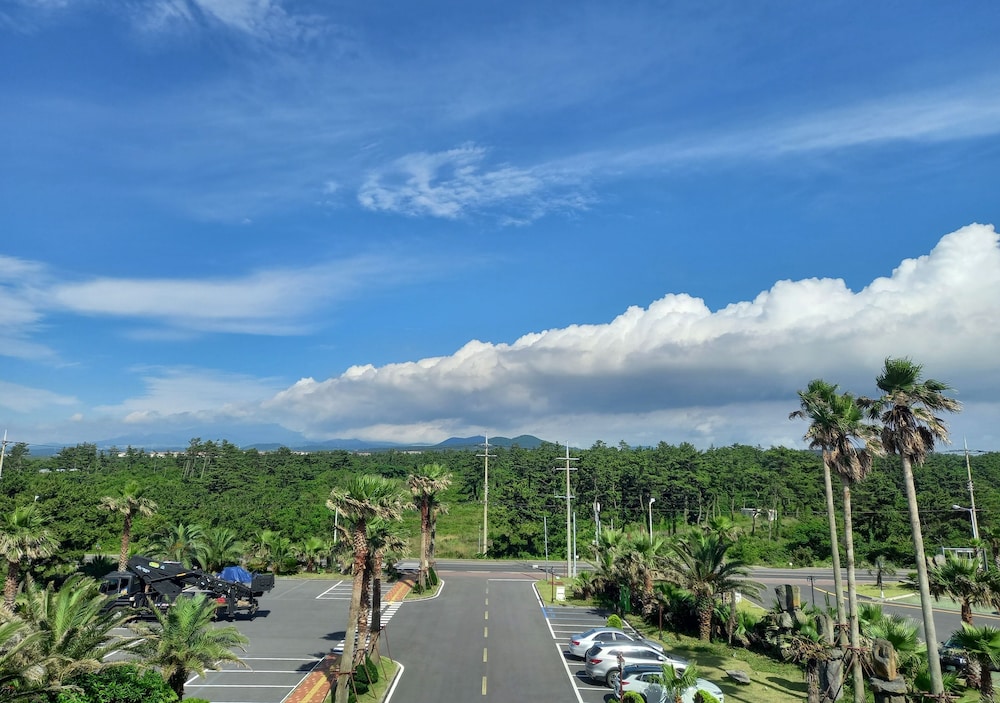 Blue Hawaii Hotel Jeju 21/24