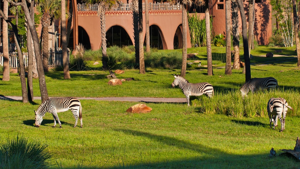 Disney Animal Kingdom Villas Jambo House 50/60
