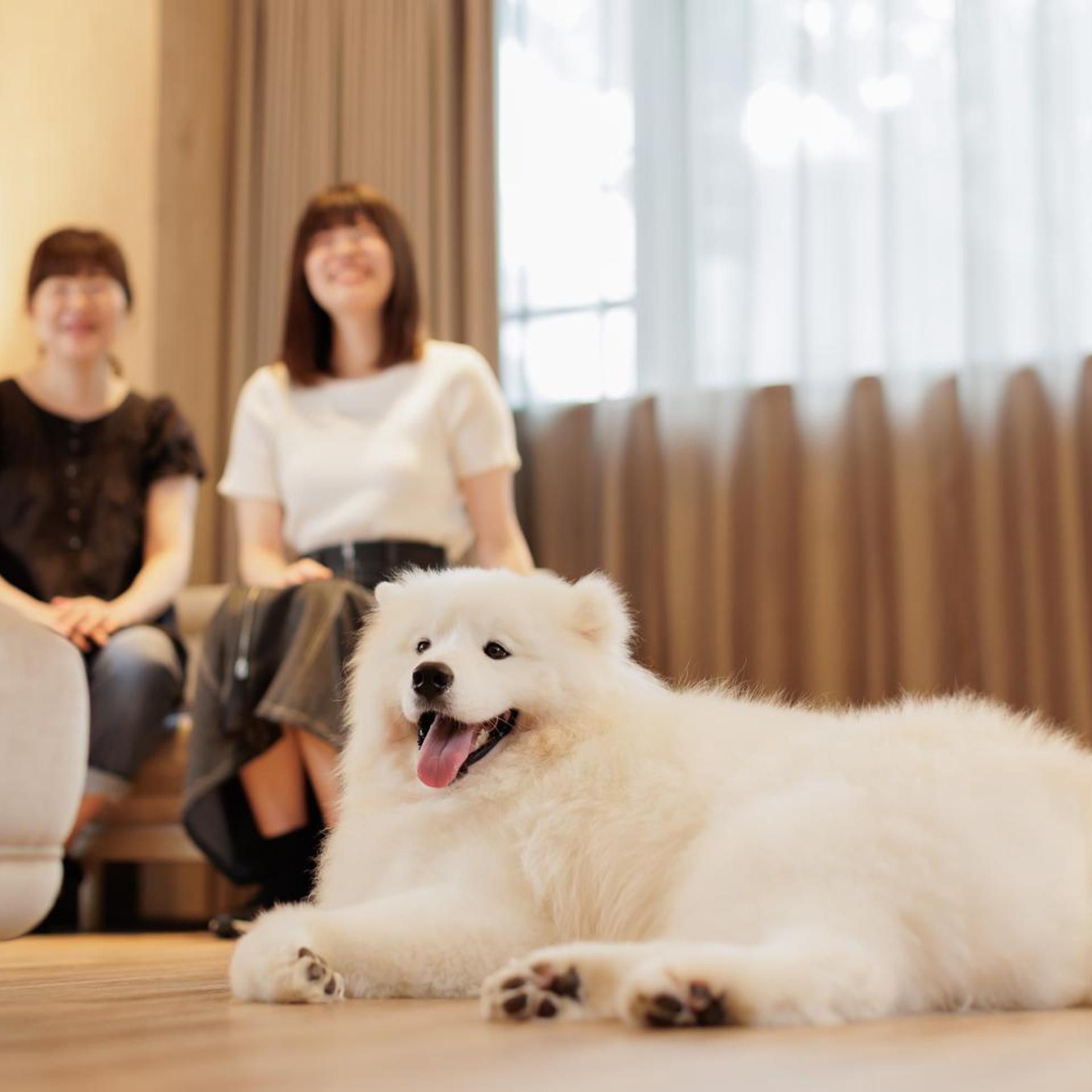 Kamenoi Hotel Tsukubasan 9/50