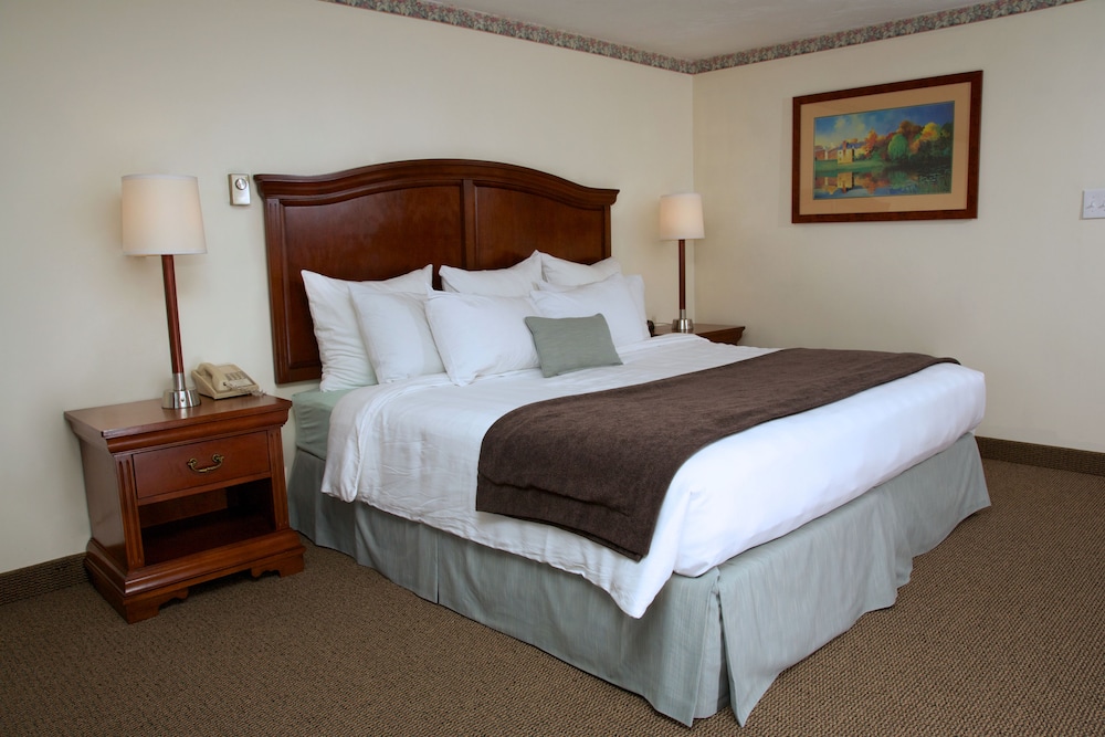 Holiday Hill Inn & Suites 21/61