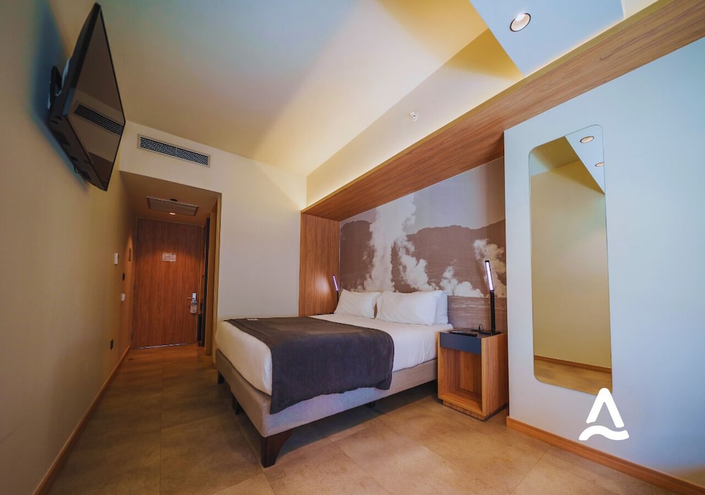 Hotel Almasur Providencia 16/59