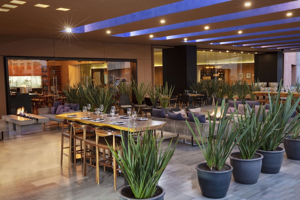 Hyatt Centric Campestre Leon 26/44