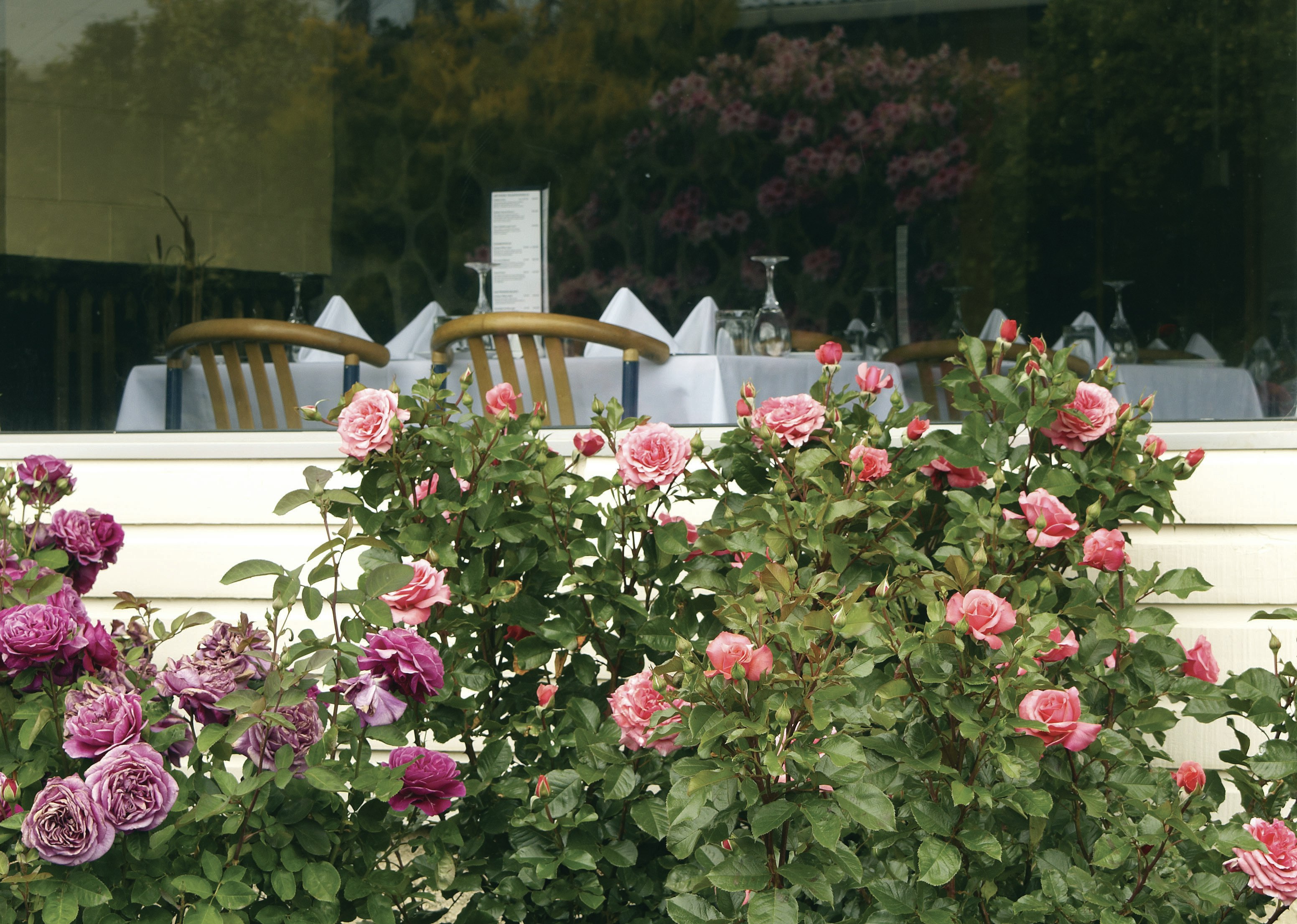 Kingsgate Hotel Te Anau 69/69