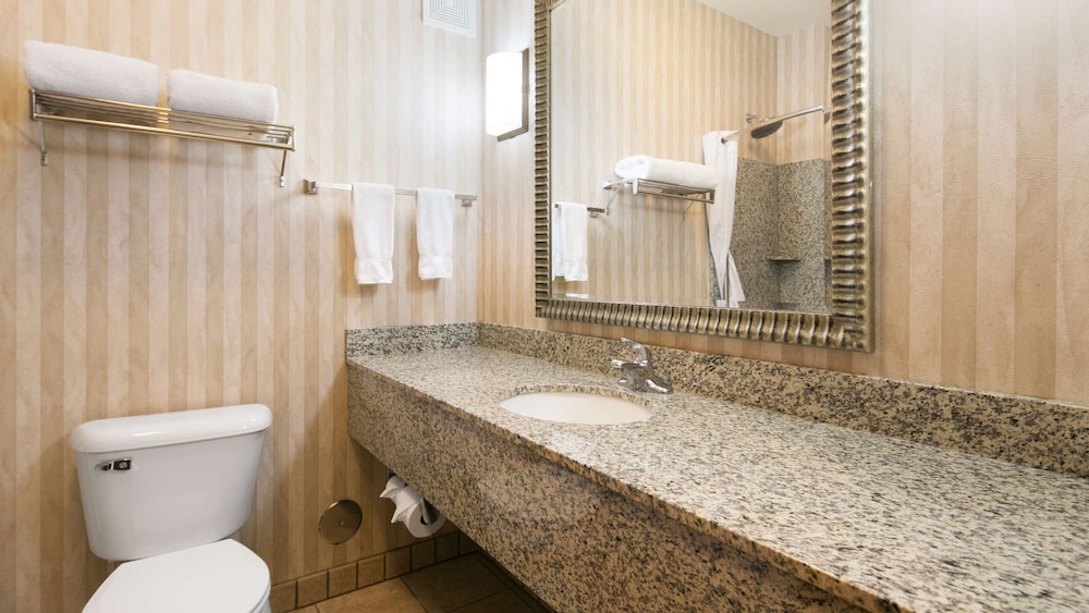Best Western Plus Ellensburg Hotel 16/47