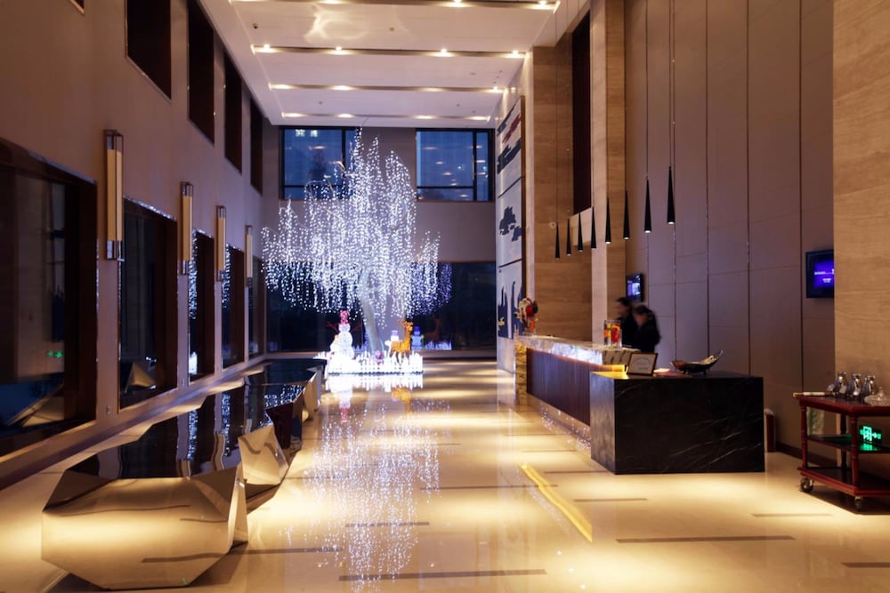 Wojo Hotel 8/50