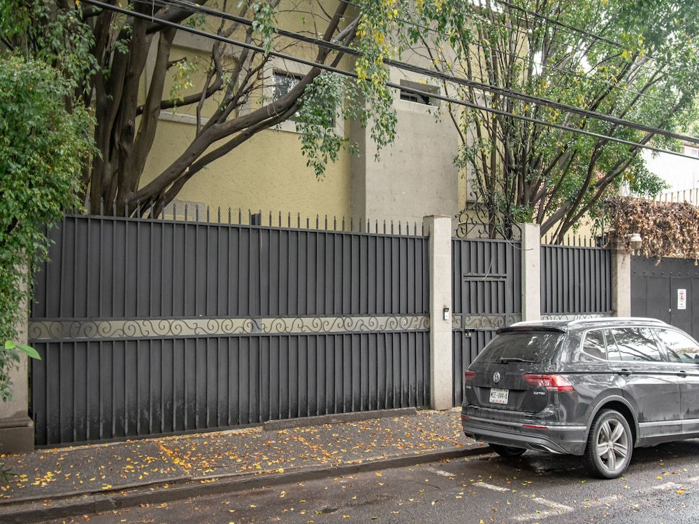 Collection O Lavanda Anzures Mexico City 50/55