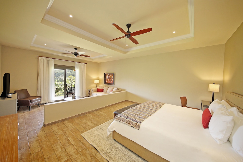 PREMIUM, STUDIO, SUITE
